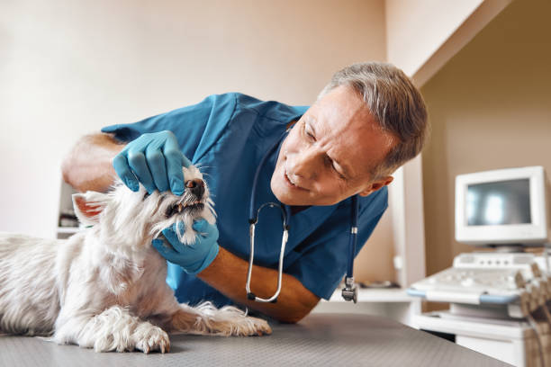 Best Dental Abscess Treatment in Sharon, MS